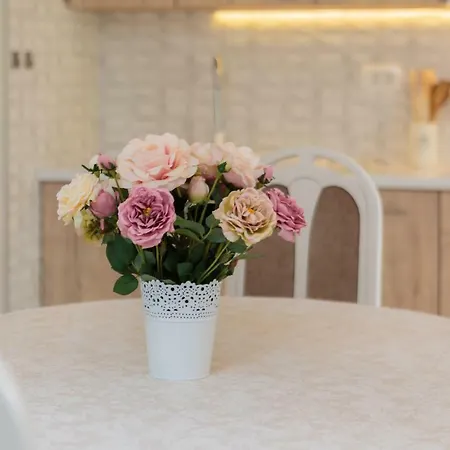 公寓 Oaza 特罗吉尔