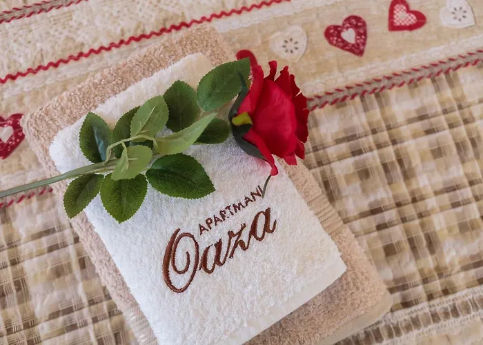 Oaza Appartement *