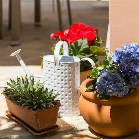 Oaza Διαμέρισμα